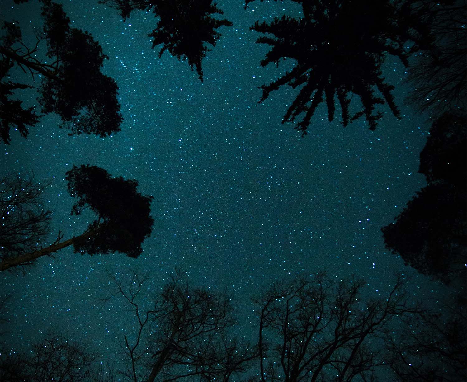 You are currently viewing Do you dream of being able to sleep properly?